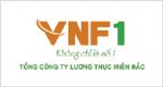 1 VNF